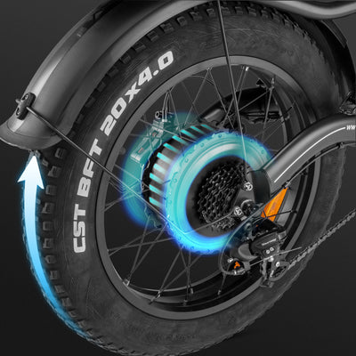 FAFREES elektrické kolo F20 X-MAX